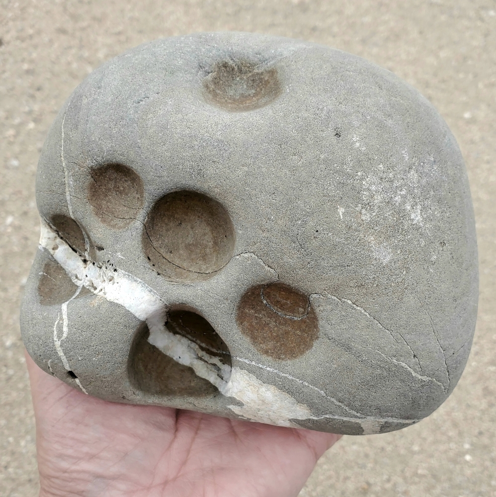 Large Unique Beach Rock Stone